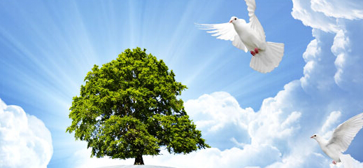 品牌設計公司在社會上有什么用途？