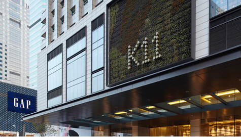 杭州品牌咨詢(xún)公司的主要職能