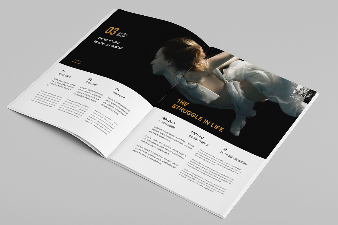 政府宣傳冊設計怎么做更好