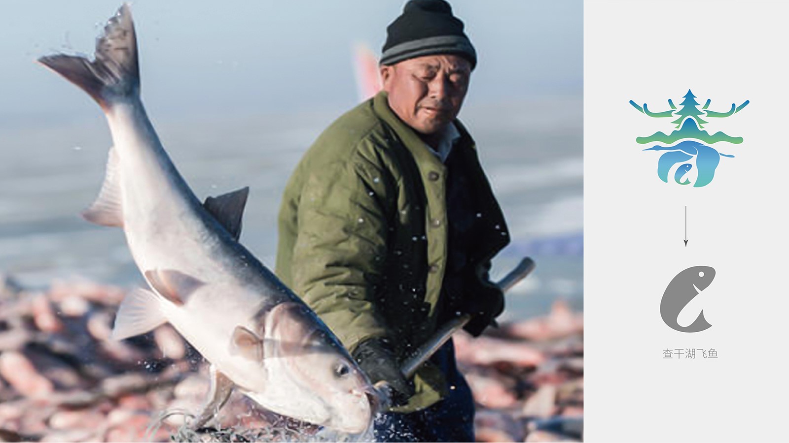 公司ci設計讓你的企業品牌超凡脫俗