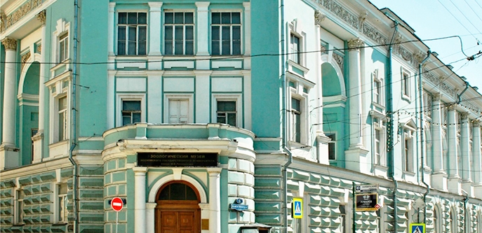 莫斯科帝國(guó)大學(xué)動(dòng)物學(xué)博物館VI設(shè)計(jì)