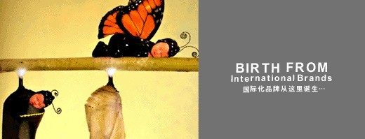 品牌設(shè)計公司