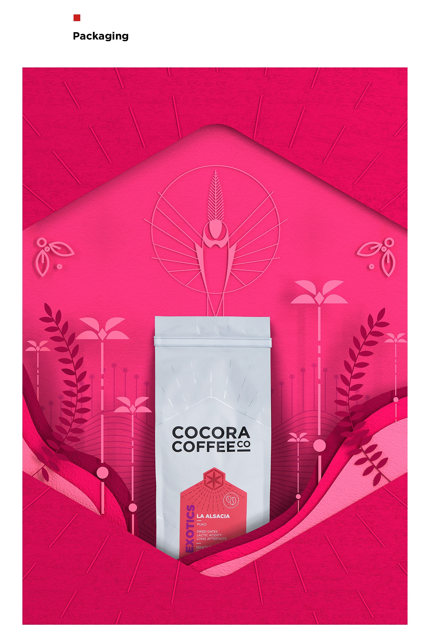 為一個咖啡杯,一個街角咖啡店,做整體的品牌包裝設計