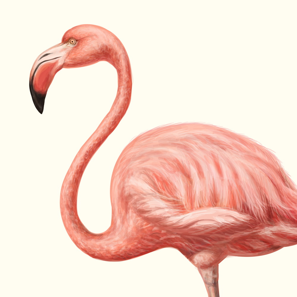 自然界野生動物來體現化妝品的純天然—護膚品包裝設計