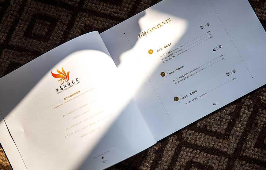 蒂高環(huán)境藝術宣傳冊