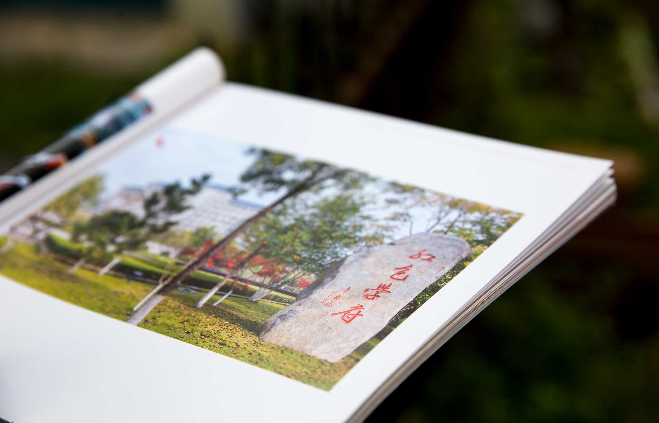 浙江省委黨校畫(huà)冊(cè)設(shè)計(jì)